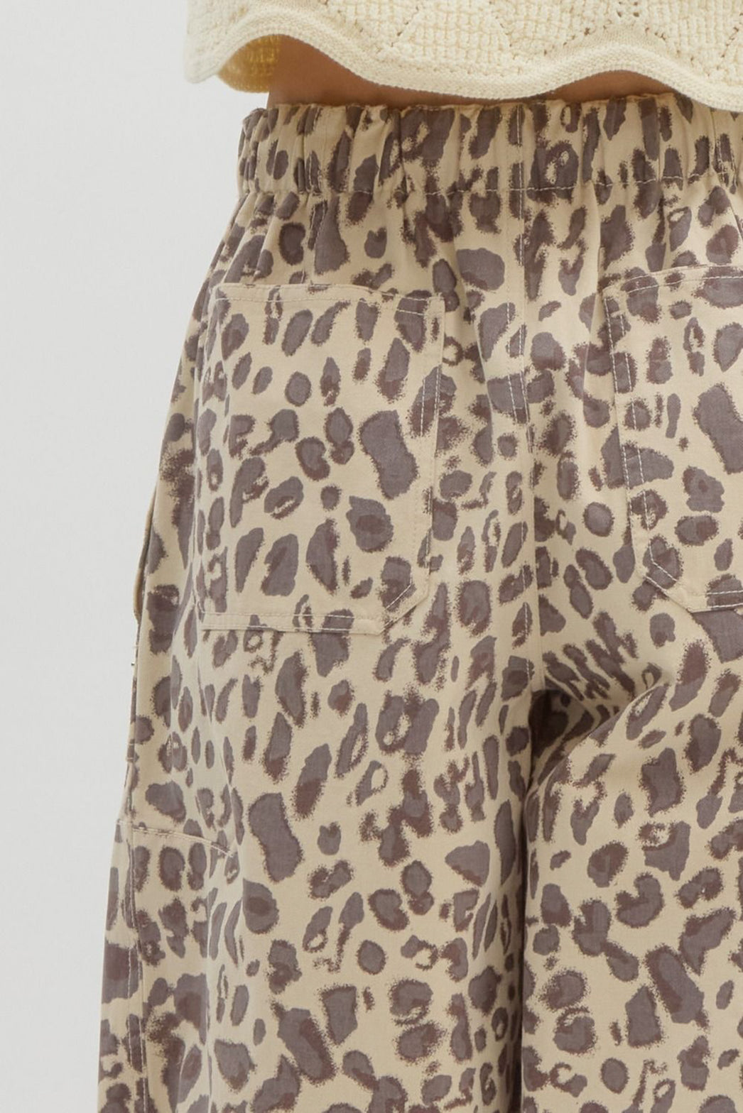 767 Entro Leopard
