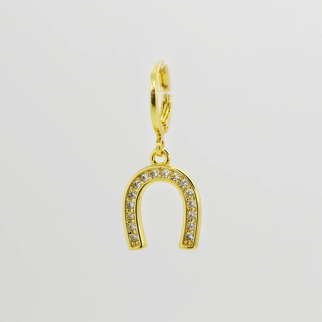 Ch110 Horseshoe