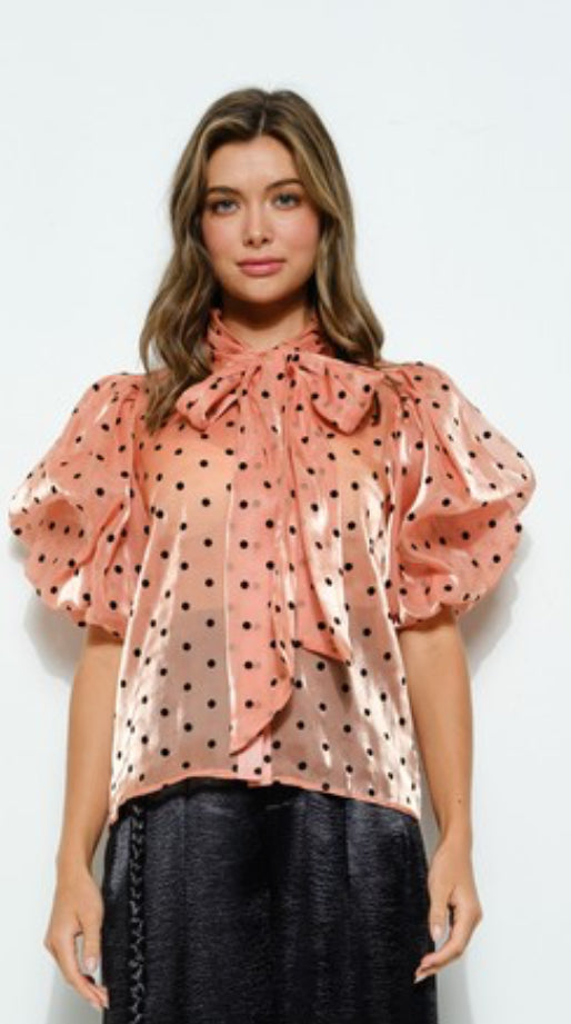577 Puff short sleeve blouse